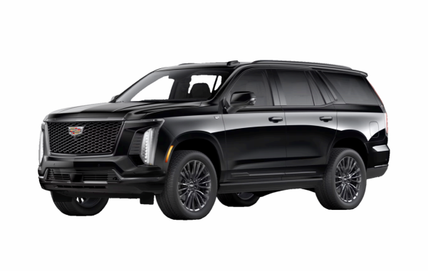 Chauffeur Background Checks in Canada: Why They Matter